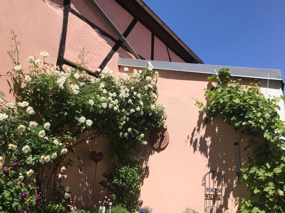 Haus Am Markt Königstein in der Oberpfalz Exteriér fotografie
